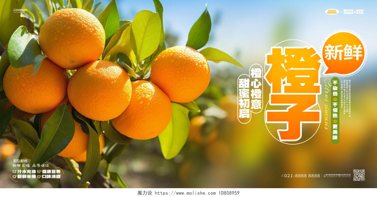 写实风新鲜橙子水果宣传展板AI
